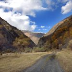 Types of entrepreneurship in Georgia