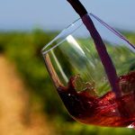 Georgia continues to ramp up wine export