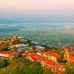 Full legal support and mediation between an investor and the government of Georgia under the project: land area for a hotel or educational center in Kakhetia