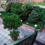 Deluxe apartments in Tbilisi in the historical part of the city + Georgian residence permit