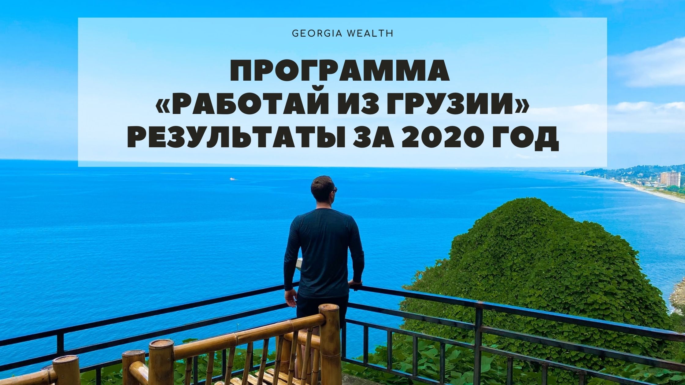 Результативность программы «Работай из Грузии» за 2020 | GeorgiaWealth.info